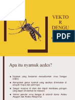 Vektor Dengue (DBD)