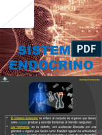 3 Sistema Endocrino o Glandular