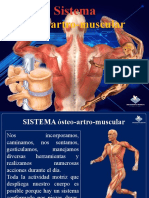 9 Sistema Oseo y Muscular