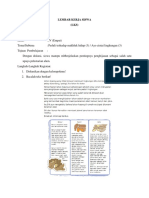 Lks PDF