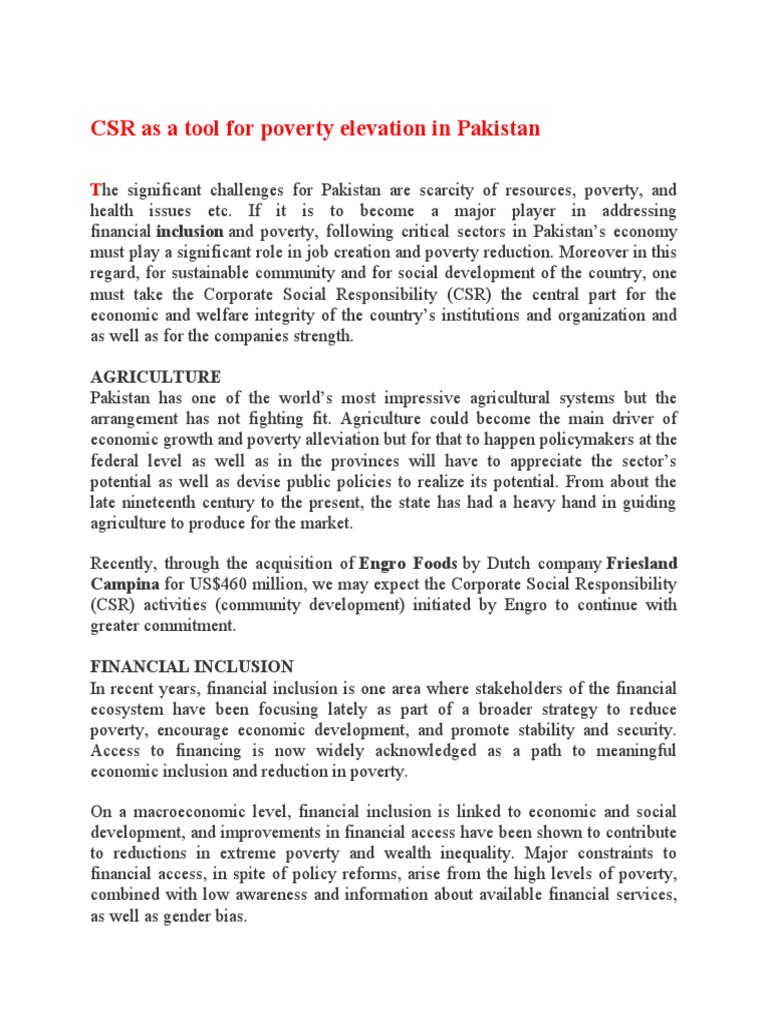 CSR Strategies for Poverty Alleviation in Pakistan | PDF | Microfinance ...
