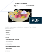 Lab Report #3 The Cell