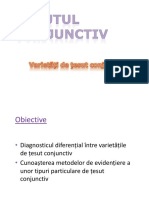 06.Tesut conjunctiv_2_2019_site.pptx.pdf
