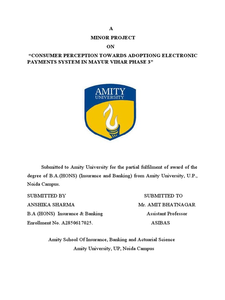 Consumer Perception of E-Payments in Mayur Vihar | PDF | Credit Card ...