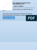 Auditoria A La Universidad Nacional Amazonica de Madre