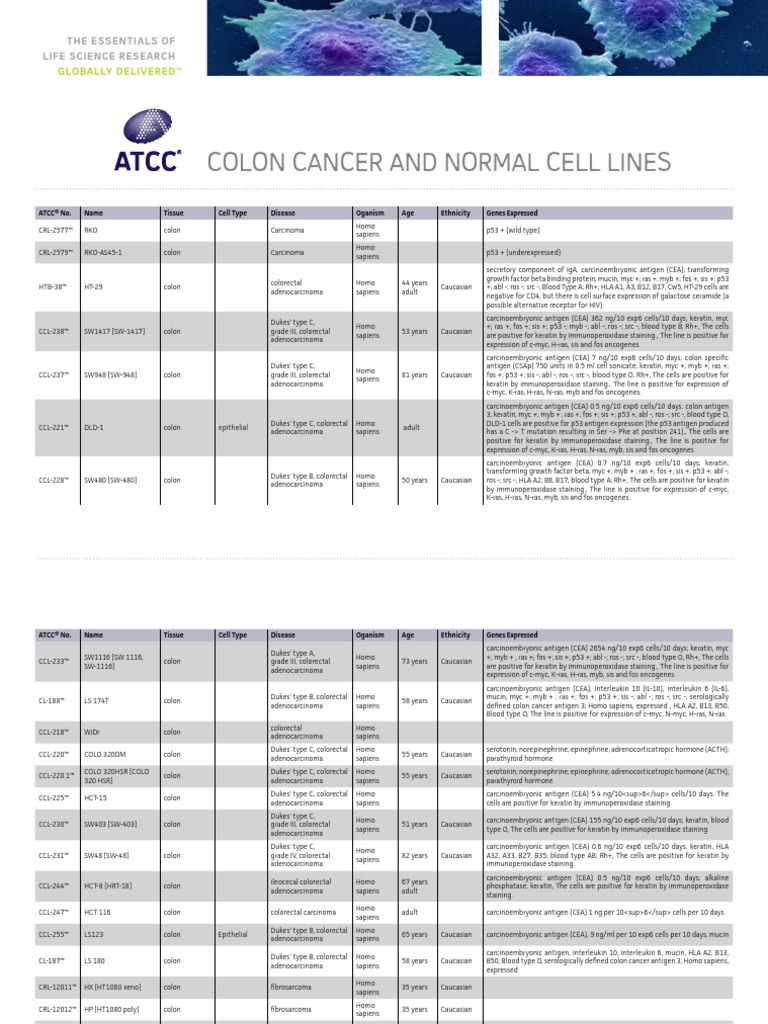 Colon Cancer and Normal Cell Lines | PDF | Adenocarcinoma | Colorectal ...