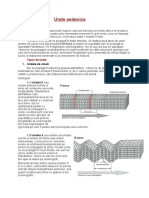 Document Fără Titlu