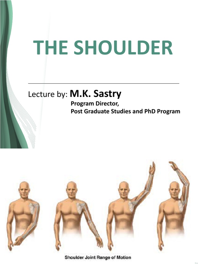 The Shoulder: M.K. Sastry | PDF | Shoulder | Anatomical Terms Of Motion