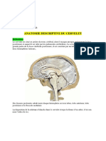 7-Cervelet.pdf