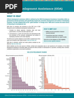 DG Echo Protection Mainstreaming Indicator Technical Guidance FINAL ...