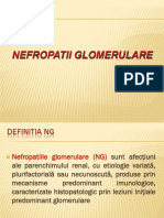 2.Nefropatii glomerulare