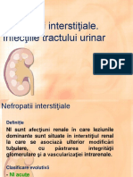 3.Nefropatiile interstitiale.pdf