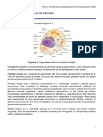 3.3. Structura Celulei de Drojdie