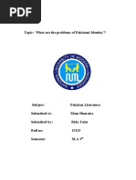 Problems of Pakistani Identity