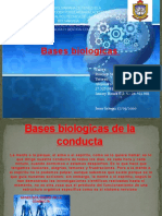 Bases Biologicas
