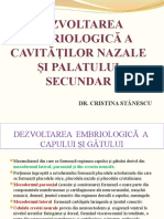 C3. Dezv. Embr. A Cavităților Nazale Și A Palatului