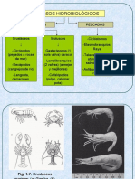 Parte 1 Hidrobiológicos