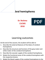 Cerebral Hemispheres 2018 PDF