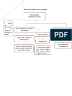 Mapa Senso-1