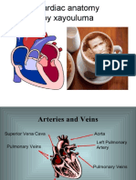 Cardiac Anatomy Heart Anatomy