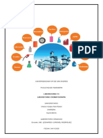 Informe Alifaticos Alan Ruben Chavez Quispe PDF