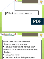 Mammals PPT 22 July 2020