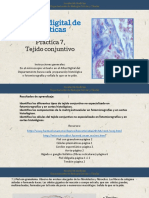 Comparto 'PRACTICA-7.-TEJIDO-CONJUNTIVO' Contigo PDF
