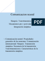 TEMA 7 Sinapsis PDF