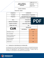 Curriculo 2017 Liderazgo PDF