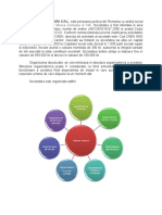 Proiect Contabilitate Manageriala -Picolino
