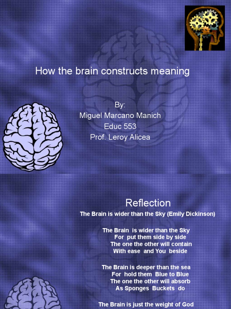 How The Brain Constructs Meaning | PDF | Emotions | Limbic System