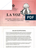 Voz Anatomia Fisiologia