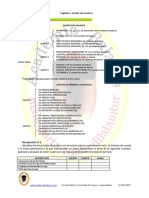 Capítulo 1 Plan de Cuentas Ejercicios PDF