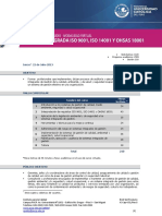 FI D VSIG 2013-1 Actualizado 05-06-2013