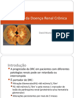 Prevenção Da Doença Renal Crônica