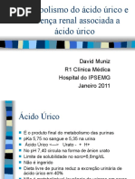 Metabolismo do ácido úrico e Doença renal associada a ácido úrico