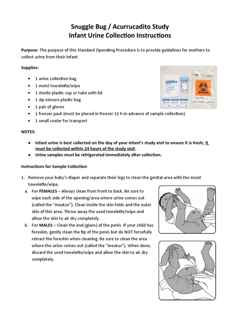 Infant Urine Collection Guidelines | PDF