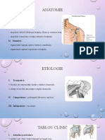Program de recuperare pentru nervul circumflex.pptx