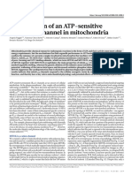 Identification of and ATPsensitive Potassium Channel in Mitochondria PDF