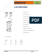 L1-CA-3P-2010.doc