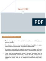 celula2022.pdf