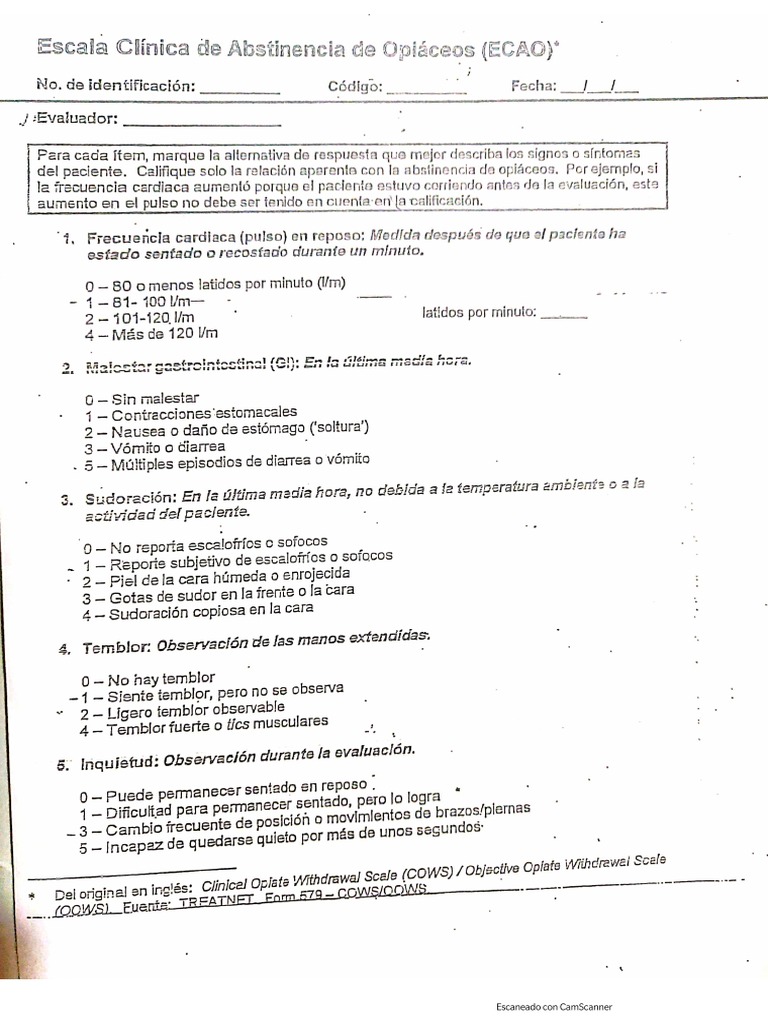 Ecao | PDF