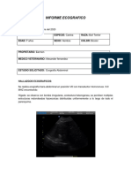 Informe Ecografico Kira PDF