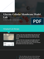 Glucose Lab