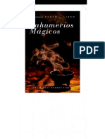 Saumerios.pdf