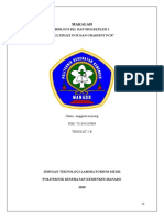 Biomol Anggista-Multiplex Dan Gradient PCR