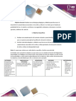 Ejemplos Plan Acción - Conclusiones