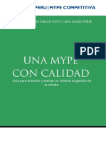 Mype.pdf