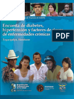 ENCUESTA DE DIABETES HONDURAS.pdf