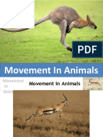 How Animals Move